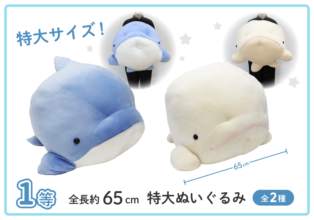 シーパラくじ もちもちイルカ・シロイルカ | シーパラ オンラインくじ